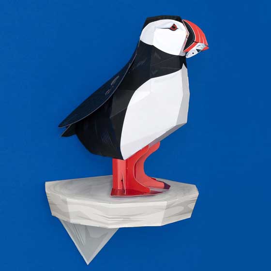 Create your own proud little Puffin kit product photo default L
