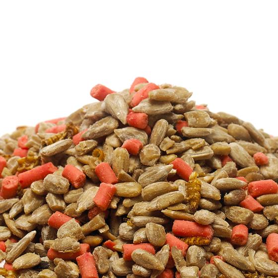 Favourites blend bird food 900g product photo default L