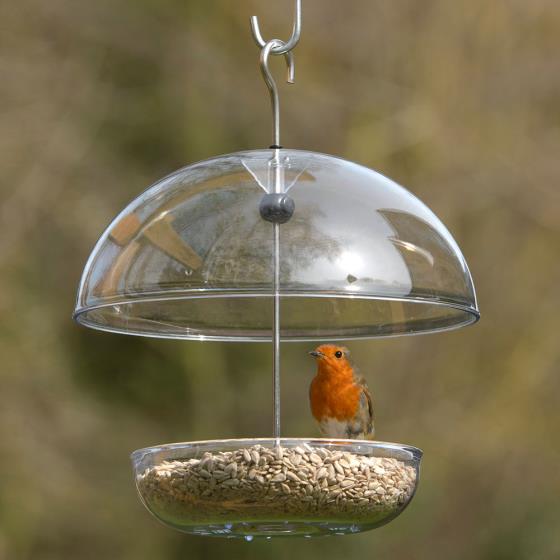 I Love Robins® large dome feeder product photo default L