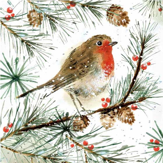 Radiant Robin Christmas cards, pack of 10 product photo default L