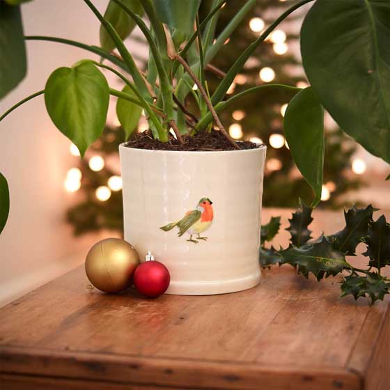 Robin plant pot, indoor ceramic planter product photo front L
