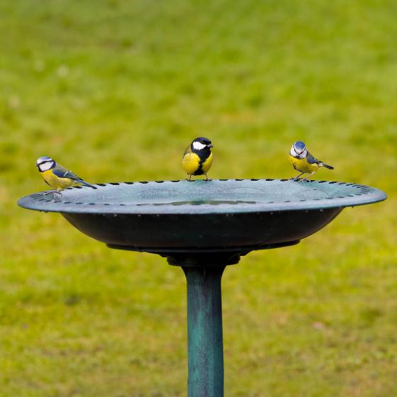 RSPB Bird bath product photo back L