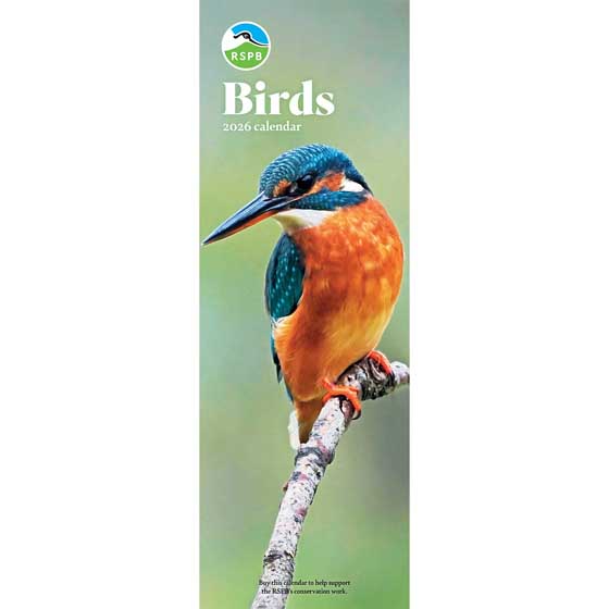 RSPB Birds calendar 2026 product photo default L