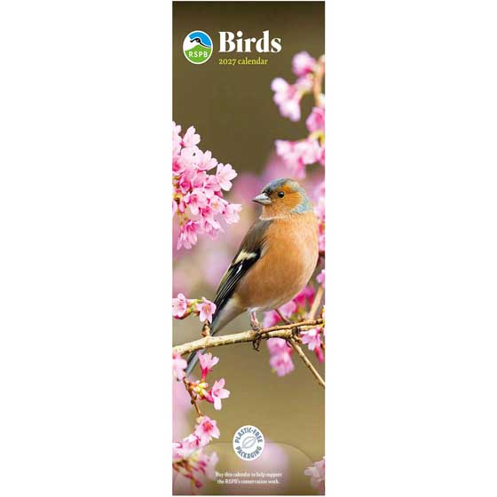 RSPB Birds calendar 2027 product photo default L
