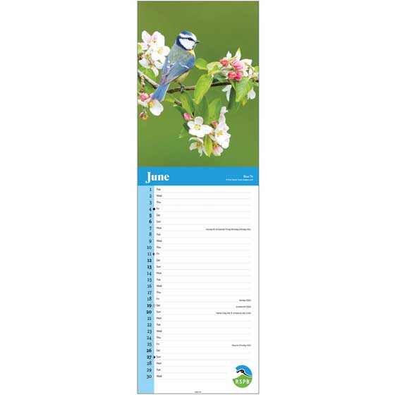 RSPB Birds calendar 2027 product photo side L