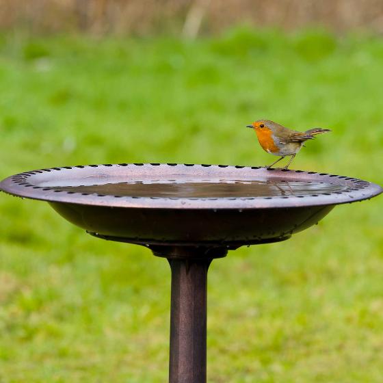 RSPB Bronze effect bird bath product photo front L