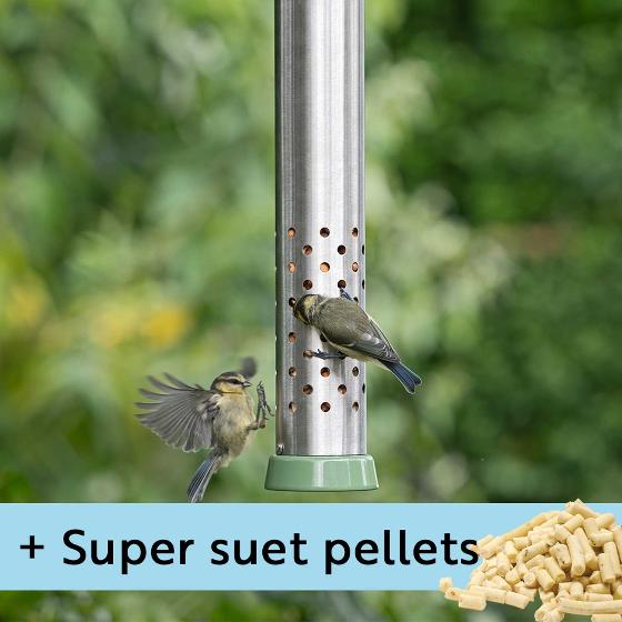 RSPB Ultimate easy-clean® cheater bird feeder, medium and Super suet pellets - mealworm 1kg product photo default L