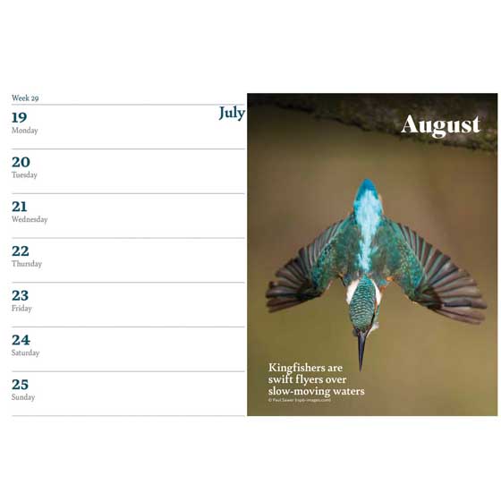 RSPB Deluxe photographic A5 diary product photo side L