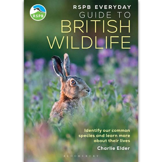 RSPB Everyday guide to British wildlife product photo default L