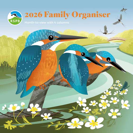 RSPB Family planner 2026 product photo default L
