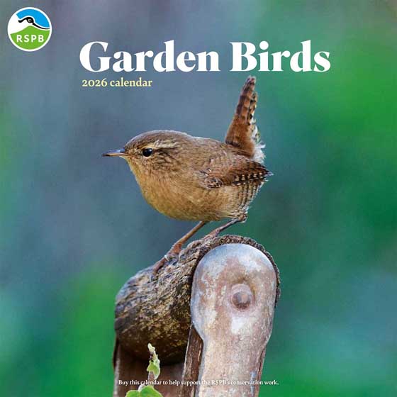 RSPB Garden birds calendar 2026 product photo default L