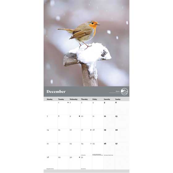 RSPB Garden birds calendar 2026 product photo side L