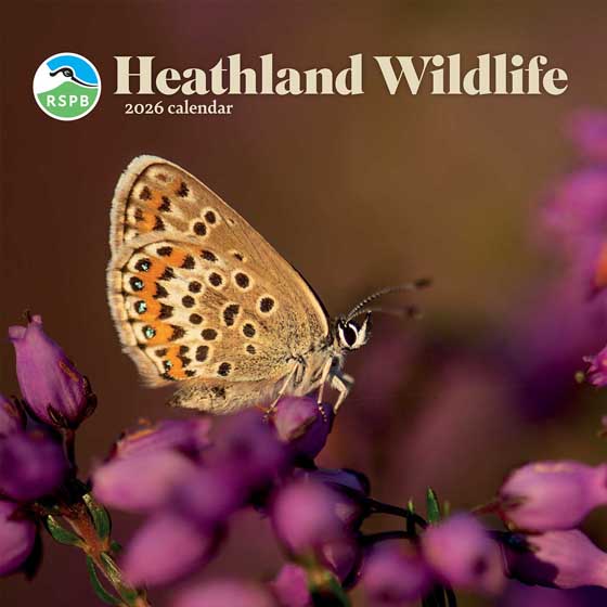 RSPB Heathland wildlife calendar 2026 product photo default L