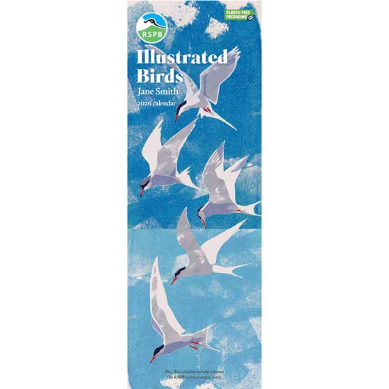 RSPB Illustrated birds calendar 2026 product photo default L
