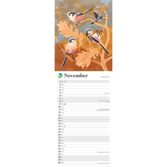 RSPB Illustrated birds calendar 2026 product photo side L