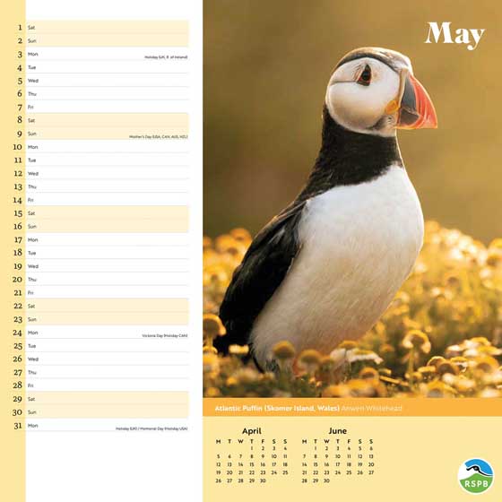 RSPB Inspiring nature calendar 2027 product photo side L
