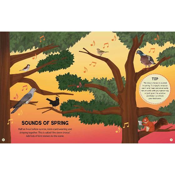 RSPB Nature activity book product photo back L