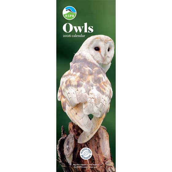 RSPB Owls calendar 2026 product photo default L
