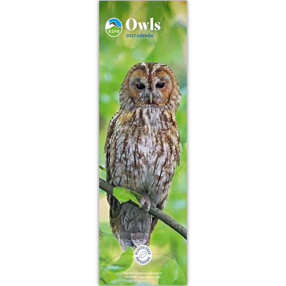 RSPB Owls calendar 2027 product photo default L