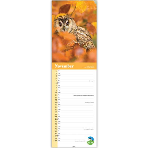 RSPB Owls calendar 2027 product photo side L
