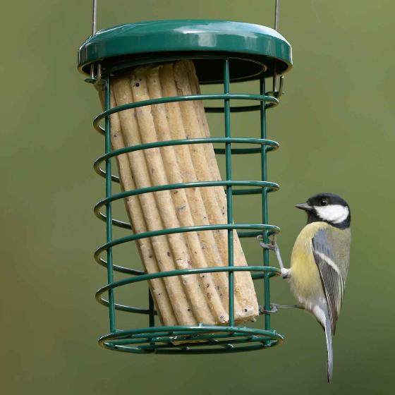 RSPB Super suet log, mealworm product photo default L