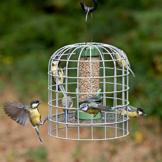 RSPB Ultimate bird feeder guardian, size small product photo back L