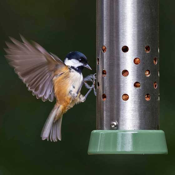 RSPB Ultimate easy-clean® cheater bird feeder, small & Super suet pellets - mealworm 1kg product photo back L