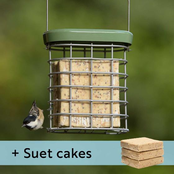RSPB Ultimate suet feeder + 3 Super suet cakes - mealworm product photo default L