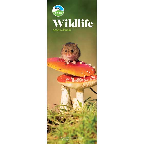 RSPB Wildlife calendar 2026 product photo default L