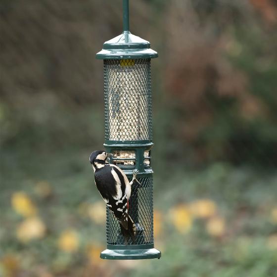 Squirrel Buster, suet pellet and peanut feeder product photo default L