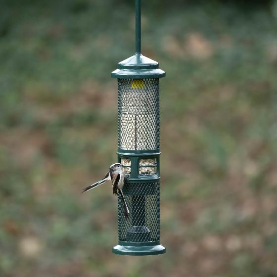Squirrel Buster, suet pellet and peanut feeder product photo side L