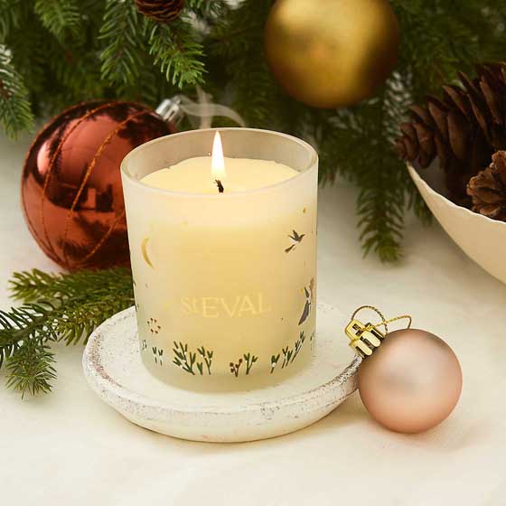 St Eval figgy pudding candle product photo default L
