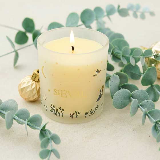 St Eval winter thyme candle product photo default L