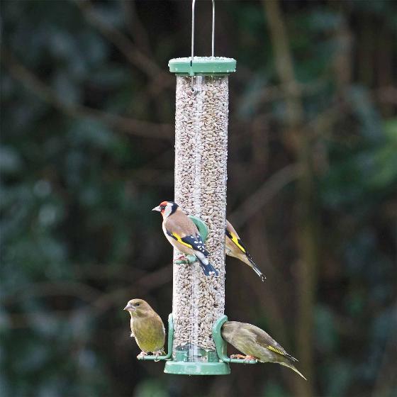 Premium sunflower hearts bird seed product photo front L