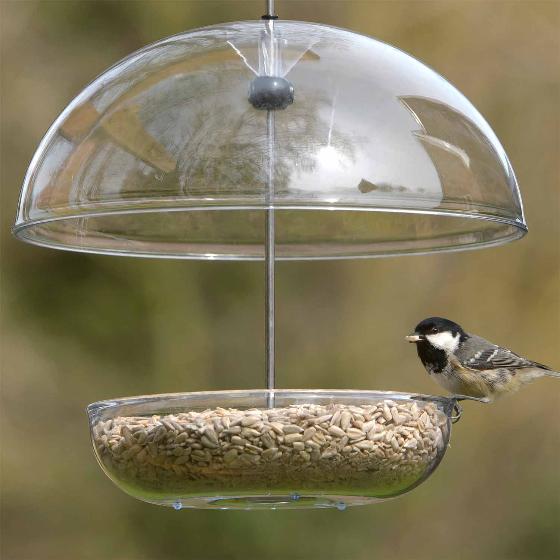 Premium sunflower hearts bird seed product photo ai5 L