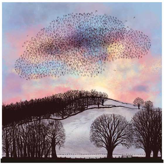 Sunset murmuration Christmas cards, pack of 10 product photo default L