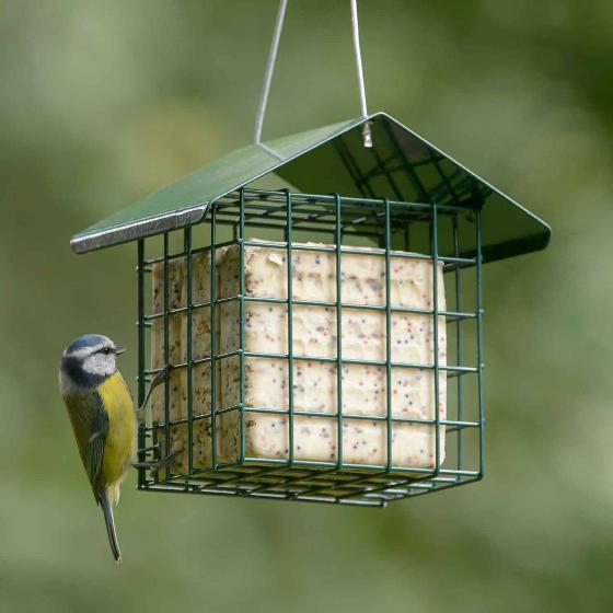 Super suet cakes - mealworm x 10 product photo default L