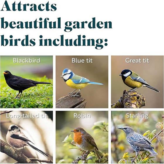 Super suet fat balls - sunflower hearts x 6 product photo ai5 L