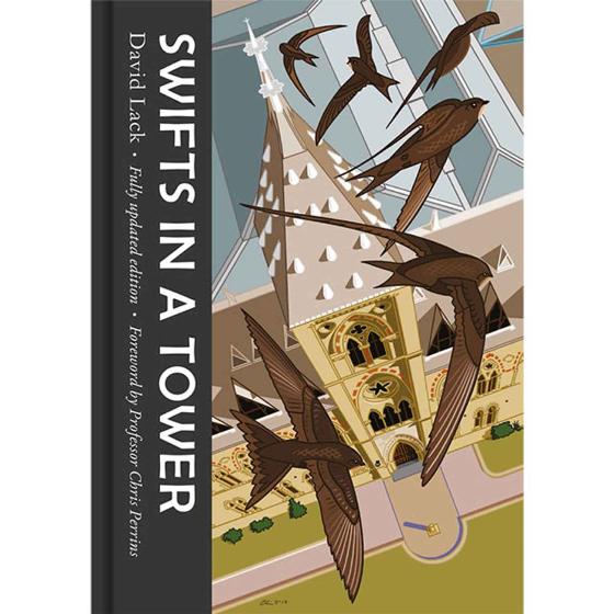 Swifts in a Tower product photo default L