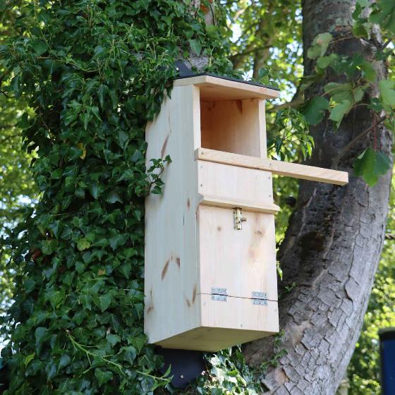 Tawny Owl Bird Box Bird Houses Nest Boxes