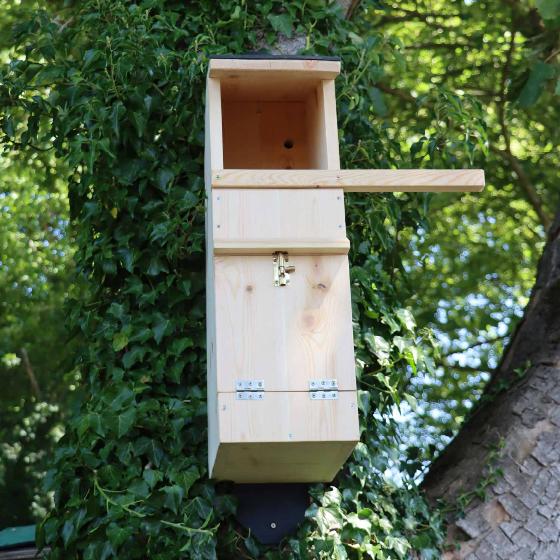 RSPB Tawny Owl nest box product photo back L