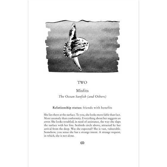 To have and to hold: Nature's hidden relationships product photo side L