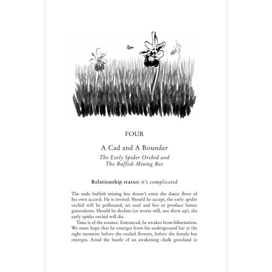 To have and to hold: Nature's hidden relationships product photo back L