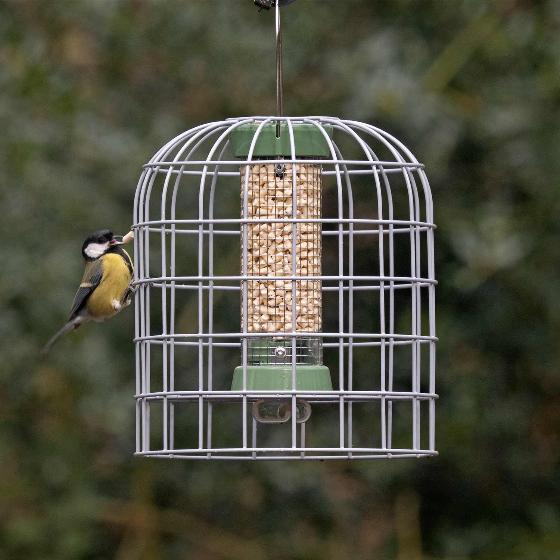 RSPB Ultimate bird feeder guardian, size small product photo default L