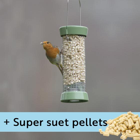 RSPB Ultimate easy-clean® small suet pellet and peanut feeder with 1kg Super suet pellets - mealworm product photo default L