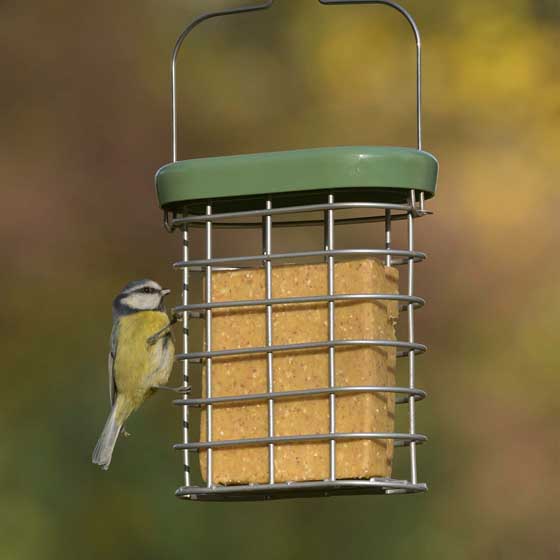 RSPB Vegan suet cakes x10 product photo front L