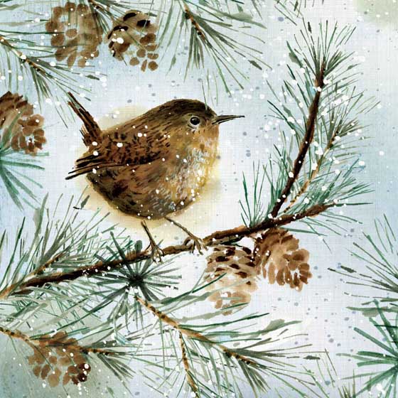 Watercolour Wren Christmas cards, pack of 10 product photo default L