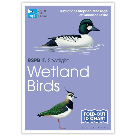Wetland birds identifier chart - RSPB ID Spotlight series product photo default L