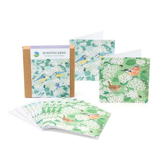 White blossom square notecards, pack of 10 product photo default L