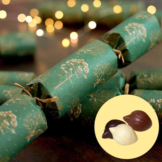 RSPB Chocolate Robins plastic-free Christmas crackers, box of six product photo default L